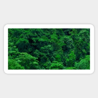 Jungle View, Jarasal bajo, Puriscal, Costa Rica Sticker